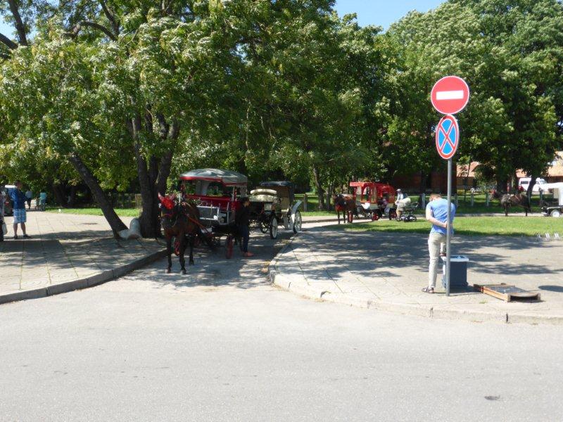 P1010034 - Kopie.JPG